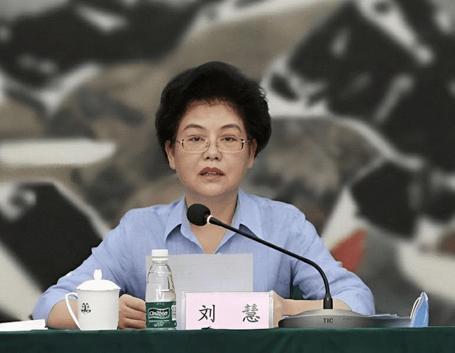 k9win娛樂城:原正部級劉慧,被開除黨籍